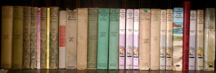 A shelf of Bobbsy Twins Books at Bahoukas in Havre de Grace