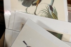 art-prints-21