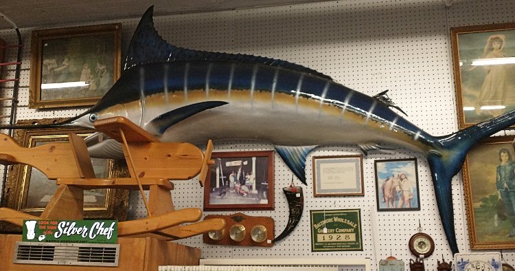 large-09-blue-marlin