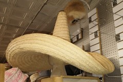 large-06-sombrero
