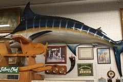 large-09-blue-marlin