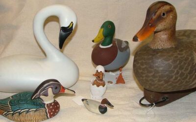 Beautiful Decoys in All Sizes