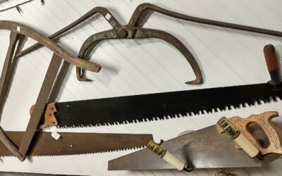 Hand Saws – a useful tool