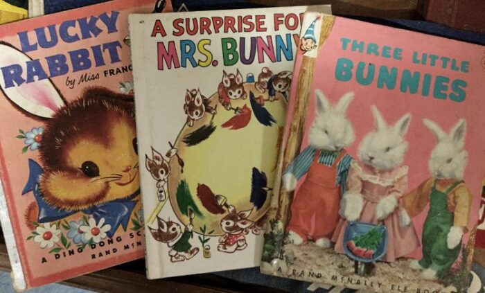 Lucky Rabbit, A Surprise for Mrs. Bunny, and Three Little Bunnies books