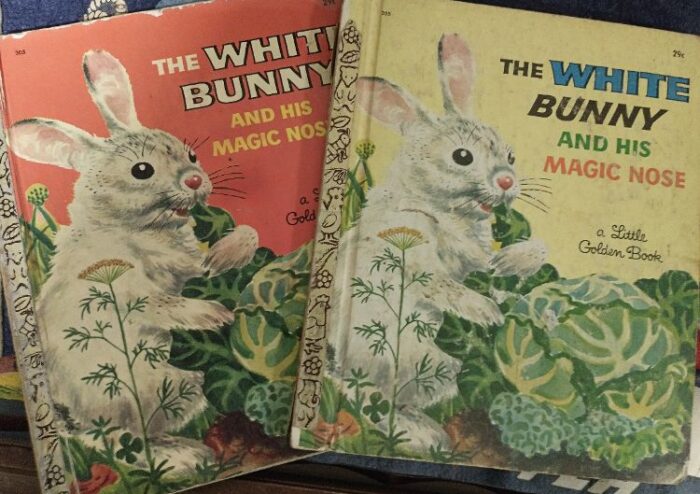 The White Bunny and His Magic Nose book