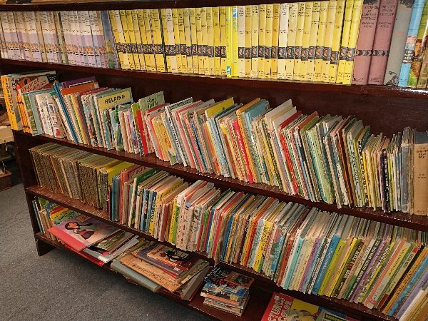 one section of children's books available at Bahoukas Antique Mall