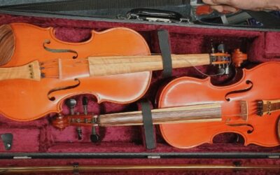 Violins, Cello, Guitar and more