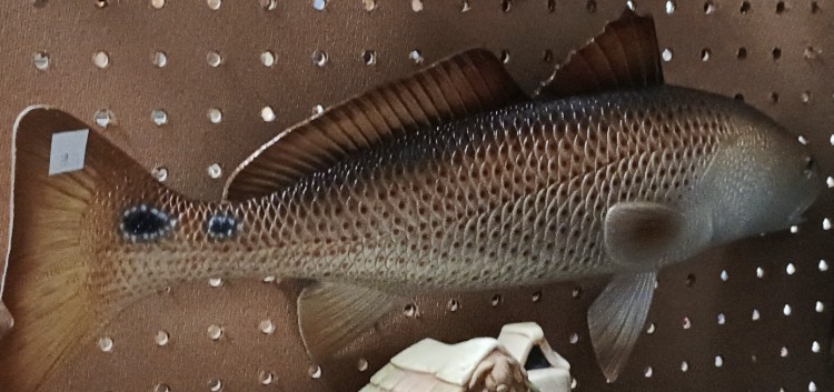 decorative plastic large mouth bass at BAHOUKAS ANTIQUE MALL in Havre de Grace MD