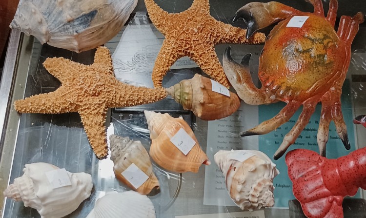 decorative plastic starfish, crab,,and shells at BAHOUKAS ANTIQUE MALL in Havre de Grace MD