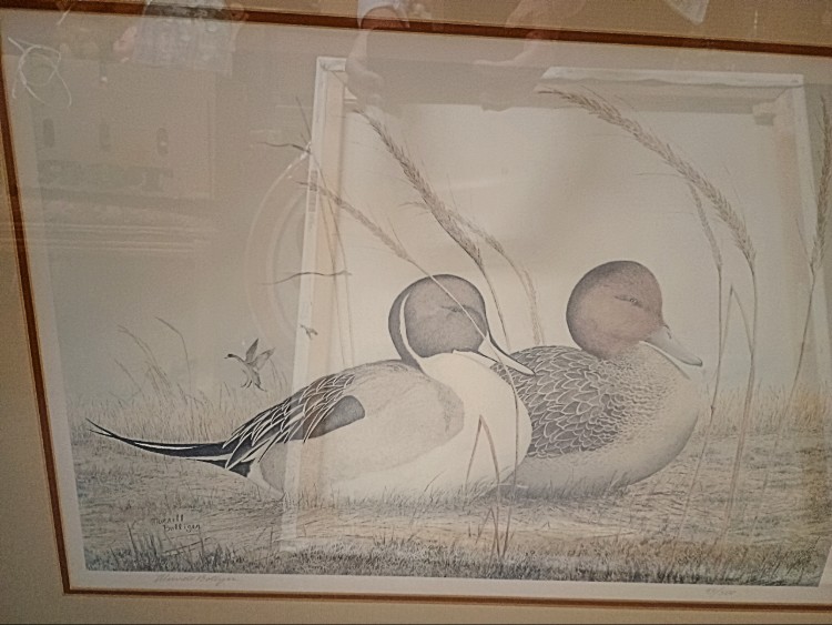 Duck print to add a bit of charm to your seaside cottage available at BAHOUKAS ANTIQUE MALL in Have de Grace.