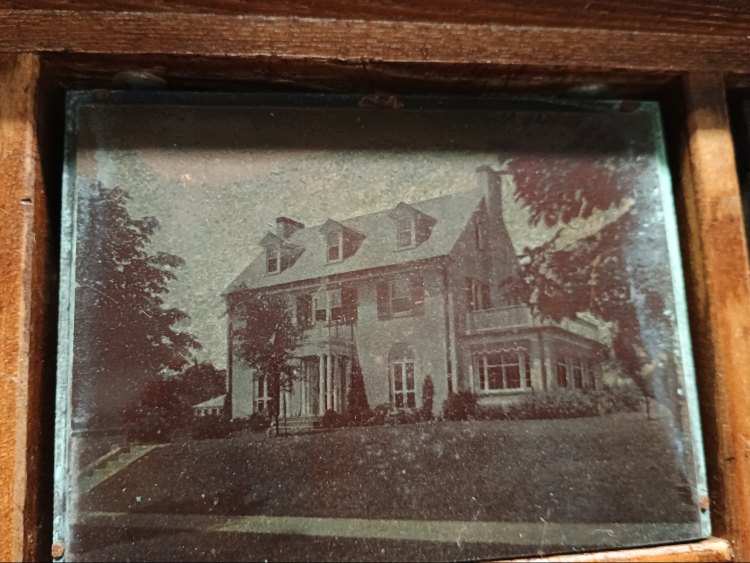 Printers Block - advertising for Towson Nursery - probably 1920s-1930s - Available at BAHOUKAS ANTIQUE MALL in Havre de Grace, MD